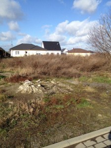 meitzendorf2016-1