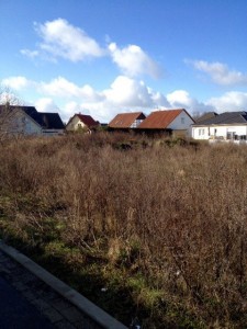 meitzendorf2016-2